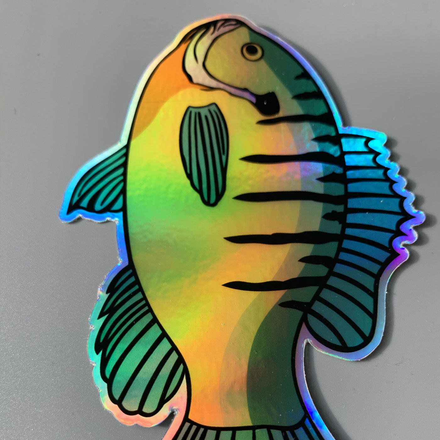 Holographic Bluegill Sticker