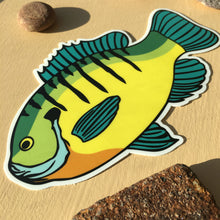 Load image into Gallery viewer, Weatherproof Die Cut Bluegill Sticker