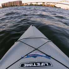 Load image into Gallery viewer, Brook Trout Sticker