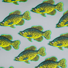 Load image into Gallery viewer, Crappie Sticker