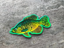Load image into Gallery viewer, Mini Holographic Crappie Sticker
