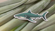 Load and play video in Gallery viewer, Mini Shark Sticker
