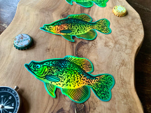 Holographic Crappie Sticker