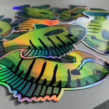 Load image into Gallery viewer, Holographic Bluegill Sticker
