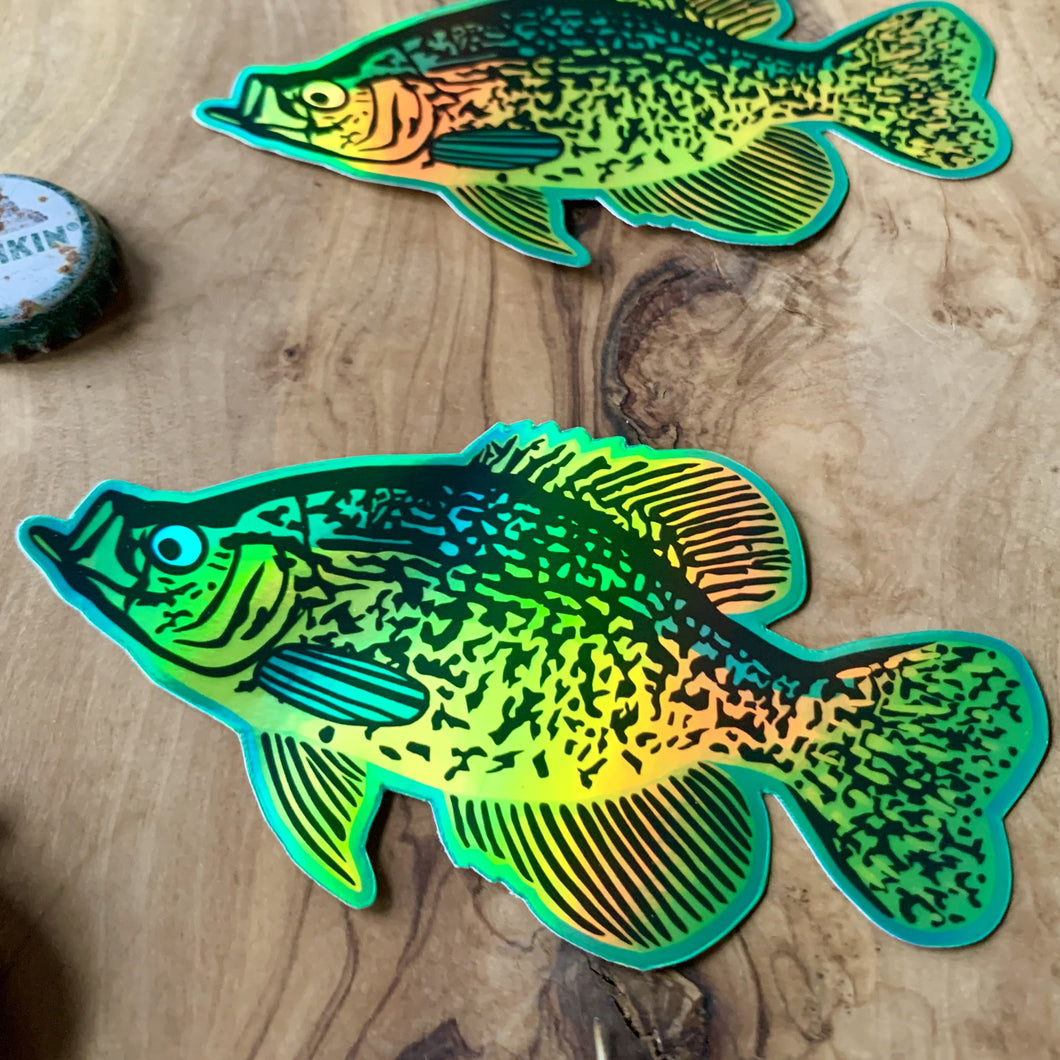 Holographic Crappie Sticker