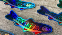 Load and play video in Gallery viewer, Holographic Mini Brook Trout Sticker

