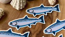 Load and play video in Gallery viewer, Mini King Salmon Sticker
